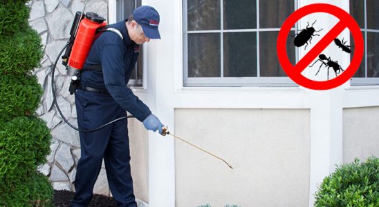 İnciraltı Dezenfeksiyon böcek ilaçlama ve haşere kontrolü — ilaclama-tr.com